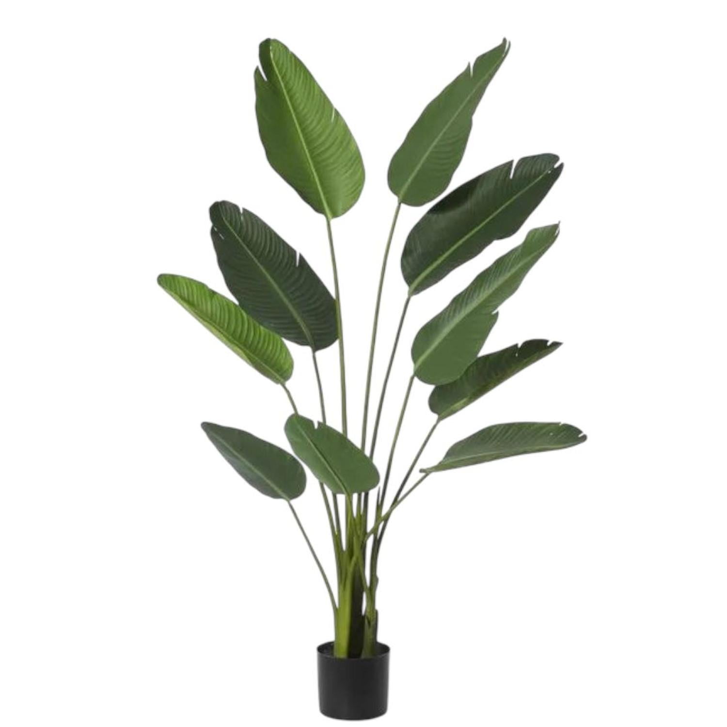 Arbusto Real - Planta Artificial Decorativa Arbol Grande Ave Paraiso 180cm