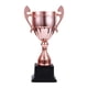 thumbnail image 3 of Trofeos De Premios Premios Trofeos Pequeños Para Niños Para Celebraciones De Fiestas Accesorios Para Eventos Cobre M, 3 of 5