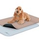 thumbnail image 1 of Forro para Jaula de Perro Paw Inspired 120x74 cm Pack de 2 Lavable, 1 of 6