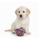 thumbnail image 2 of Juguete Pelota De Cuerda Masticable Duradera Para Perros, 2 of 5