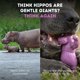thumbnail image 4 of Juguete para perros HAPPY STAFFY CO Chewzilla Chomp-o-potamus de nylon, 4 of 9