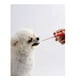 thumbnail image 3 of Jeringa Para Medicamentos Perros Y Gatos Rojo, 3 of 3
