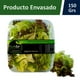 thumbnail image 2 of Lechuga Lollo Rosa Pote, 150 g, 2 of 2