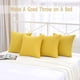 thumbnail image 5 of Paquete De 2 Fundas De Almohada Para Exteriores, Impermeables, Para Muebles De Patio, Decorativas, Cuadradas, Para Jardín, Tienda De Campaña, Sofá, 45,7 X 45,7 Cm, 5 of 8