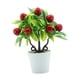 thumbnail image 2 of Plantas Artificiales en Maceta, Miniplantas Falsas, Bonsái, Frutas Falsas, Planta en Maceta, Planta de Fruta Artificial para Exteriores, Oficina Y Dor Guindas, 2 of 5