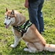 thumbnail image 2 of Arnes Pechera K9 Alcochado Reforzado Perros Grandes Talla L, 2 of 2