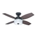 thumbnail image 1 of AIROLITE VENTILADOR TECHO 42 PULGADA CENTRAL PARK, 1 of 10