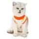 thumbnail image 4 of Traje de recuperación quirúrgica para gatos, camiseta transpirable para gatitos después de cirugías, ideal para heridas abdominales y enfermedades de la piel, vendajes profesionales antilamidos como, 4 of 8