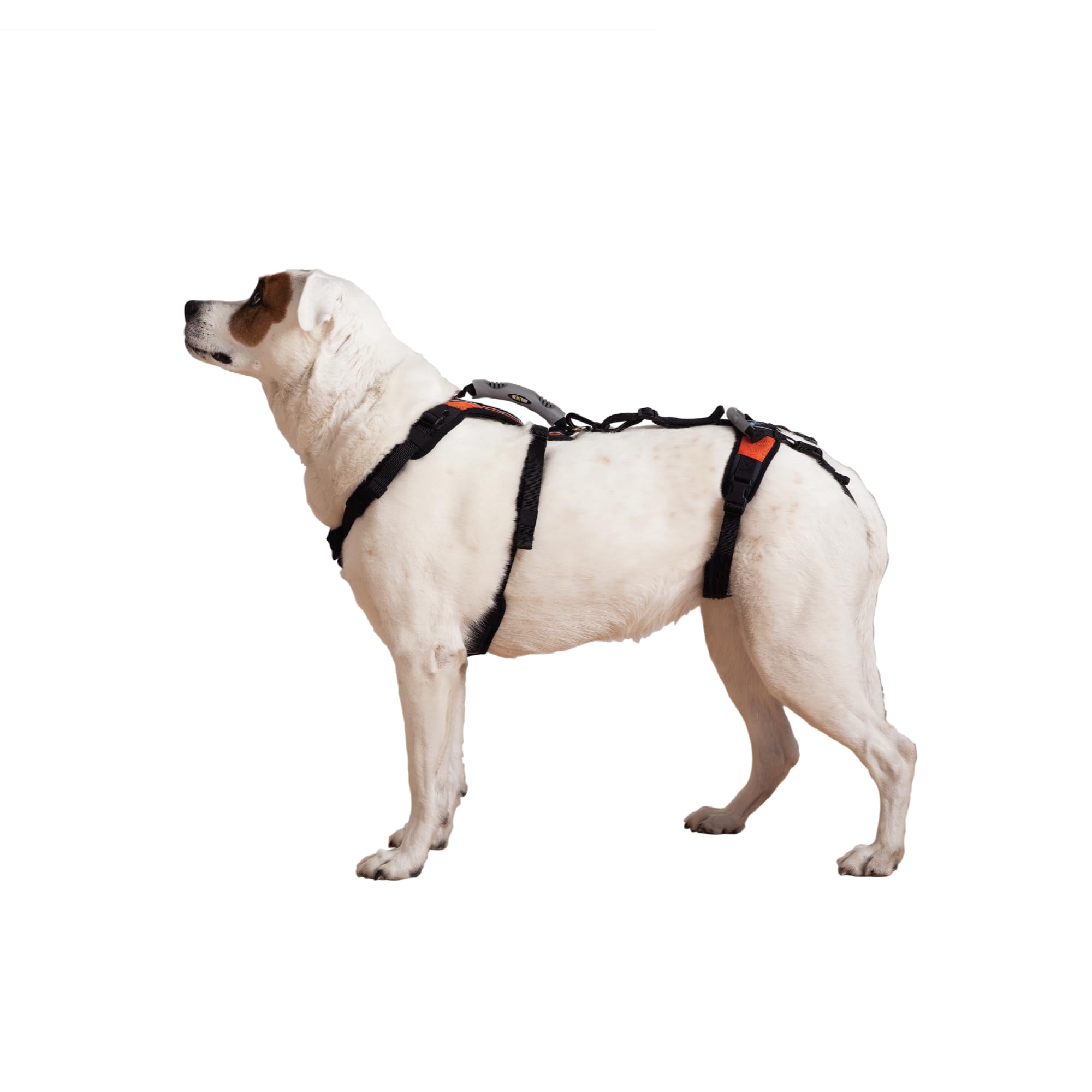Arnés Para Levantamiento De Perros Help 'em Up, Soporte Para Todo El Cuerpo, Tamaño Mediano