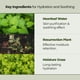 thumbnail image 5 of Tónico JMsolution Heartleaf 88 250 ml Hipoalergénico, 5 of 8