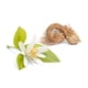 thumbnail image 4 of Perfume 10 Crosby Rain Day Eau De Parfum 3 5 Ml, 4 of 5