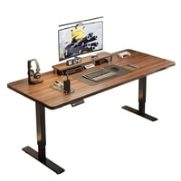 Escritorio Eléctrico Regulable Accesorios 120Cm Lubabycas