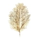 thumbnail image 1 of Set 2 Individuales Leaf Hoja Dorado BVS, 1 of 2
