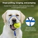 thumbnail image 3 of Collar de cabeza de perro PetSafe Gentle Leader sin tirones para perros grandes, 3 of 6