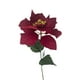 thumbnail image 2 of Poinsettia Roja 75cm, 2 of 3