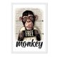 thumbnail image 1 of Cuadro Monkey Free con Marco Blanco 50x40 CM, 1 of 1