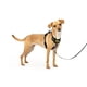 thumbnail image 1 of Arnés Para Perros Easy Walk Comfort No pull X small Negro, 1 of 8