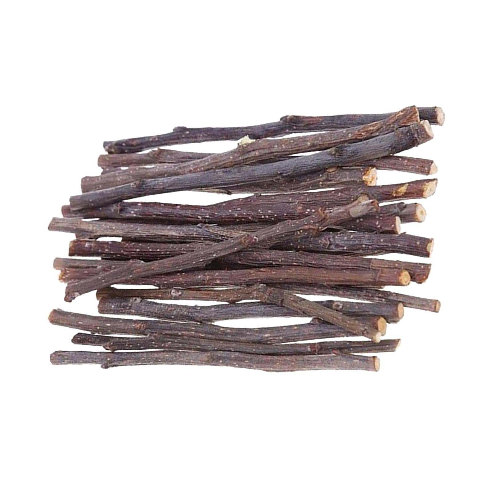 1000G Hamster Chew Sticks Molar Groundhog Limpieza Ardillas Ramitas