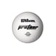 thumbnail image 1 of Pelota Volleyball Pro Tour Wilson, 1 of 2