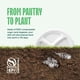 thumbnail image 5 of Platos de papel Stack Man, 10 pulgadas, 500 unidades, compostables, 5 of 7