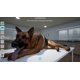 thumbnail image 2 of Videojuego Mindscape My Life Pet Vet para PS5, 2 of 9