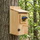 thumbnail image 4 of Casas para Pájaros KraAra 2 Unidades 12 cm × 10,5 cm Madera de Pino, 4 of 7