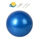 thumbnail image 1 of Pelota De Ejercicio Pilates Entrenamiento Mujer Hombre Inflador Incluido Soporte De Espalda Azul 75cm, 1 of 5