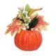 thumbnail image 3 of Adorno De Calabazas Artificiales Fotografía Prop Para El Estilo De Decoración De Acción De Gracias E, 3 of 5