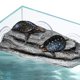 thumbnail image 3 of Plataforma de descanso para tortugas Abustle pig gris 22 × 13 × 4 cm con 3 ventosas, 3 of 8