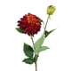 thumbnail image 2 of Flor Dahlia Roja 68cm, 2 of 3