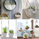 thumbnail image 4 of Miniplantas artificiales HappyHapi para suculentas artificiales, 12 unidades, 4 of 7