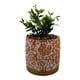 thumbnail image 1 of Planta Artificial Macetero Cerámica Antiguo Vintage Naranjo, 1 of 3