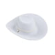 thumbnail image 5 of Mini Sombrero De Vaquero Flocado Para Figuras Coleccionables De 12 Pulgadas, Color Blanco, 1/6, 5 of 5