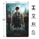 thumbnail image 3 of Cartel de Metal Harry Potter Desmarcar 30x20 cm, 3 of 6