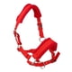 thumbnail image 3 of Espesar Pony Horse Halter Head Collar Hípica Estable Protectora Rojo M, 3 of 3