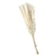 thumbnail image 1 of Ramo De Hierba De Pampa Seca, Fragmitas, Flor De Junco, Blanco, 15 Uds., 1 of 5