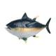 thumbnail image 5 of Modelo De Figuras De Animales De Peces Realistas Modelo De Atún De Simulación Para Niñas Y Niños Amarillo, 5 of 5
