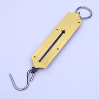 Xusx111 - Balanza De Muelle De Bolsillo | Max. 50 Kg Balanza De Pesca Con Gancho Balanza De Equipaje Mecánica Portátil Función De Apagado Automático Para El Hogar, Tiendas, Equipaje, Viajes, Pesca, Al