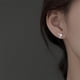 thumbnail image 3 of Pendientes de estrella para mujer, de plata, con forma de estrella, delicados pendientes de oreja, resistentes al deslustre., 3 of 6