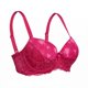 thumbnail image 2 of Sostén Microfibra Mujer Lady Genny S-687C Encaje Soft, 2 of 3