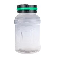 Bothyi - Cuenta De Conteo Digital Monedas Bank Saving Count Box For Birthday Gift Children Green