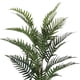 thumbnail image 3 of Planta Decorativa Palma Areca 120 Cms., 3 of 4