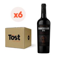 6X Vino Santa Rita Cabernario Cabernet Sauvignon 14° 750Cc
