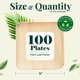 thumbnail image 5 of Platos desechables KoalaLove Palm Leaf de 20 cm, paquete de 100, 5 of 8