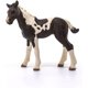thumbnail image 2 of Set de coleccionista Toy Horse Foal Schleich Horse Club, 4 piezas, 2 of 5