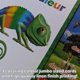 thumbnail image 5 of Juego de cartas AGO En Francais 2 Deluxe Edition para todas las edades, 5 of 6