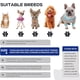 thumbnail image 3 of Botas Para Perros De Patas, Zapatos Antideslizantes De Cuatro Estaciones, Con Banda Reflectante, Para Perros Pequeños Y Medianos, Juego De Cuatro Piezas, Tamaño: 4 Yardas, 3 of 7
