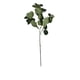 thumbnail image 1 of Flor Artificial Eucalipto Artificial Flor Decorativas 80cm, 1 of 1