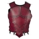 thumbnail image 5 of Chaleco De Equitación Ecuestre Para Adultos Protector De Cuerpo Para Eventos De Protección Rojo, 5 of 5
