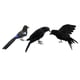 thumbnail image 5 of Aves De Bosque Realistas Artificiales De 3 Piezas Para Decoración De Hogar De Jardín Weding, 5 of 6